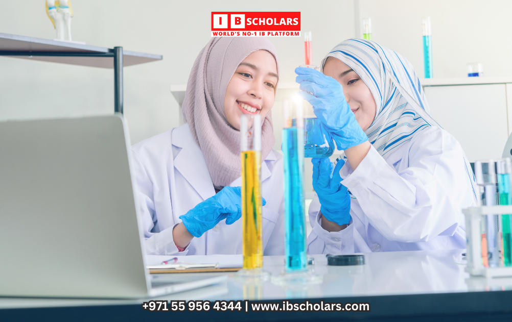 Math Revision Excellence