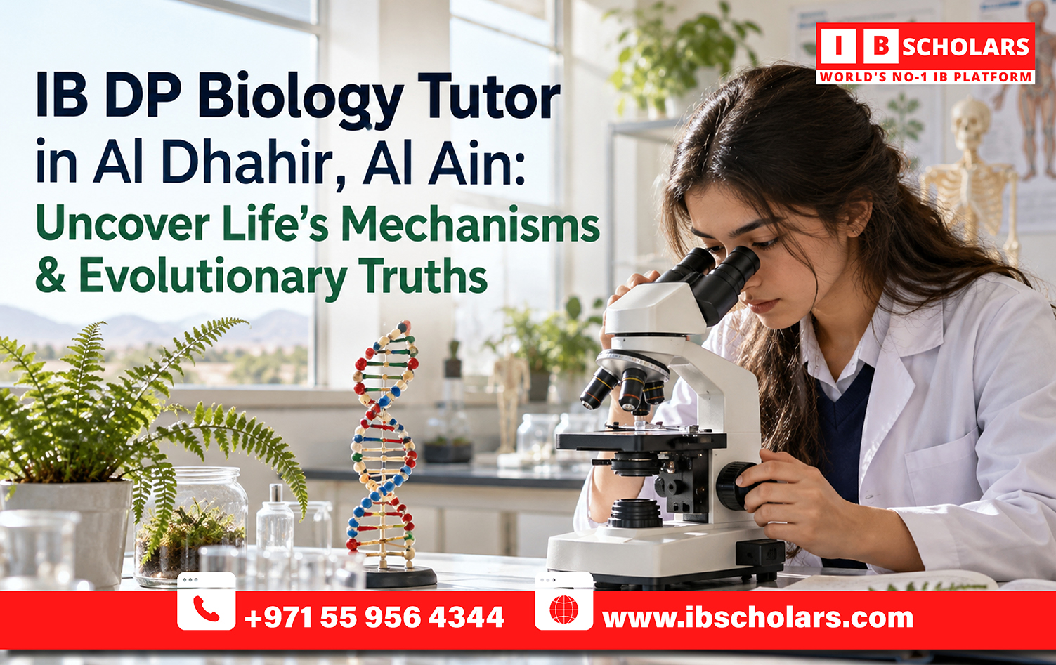IB MYP Math Tutor in Dubai