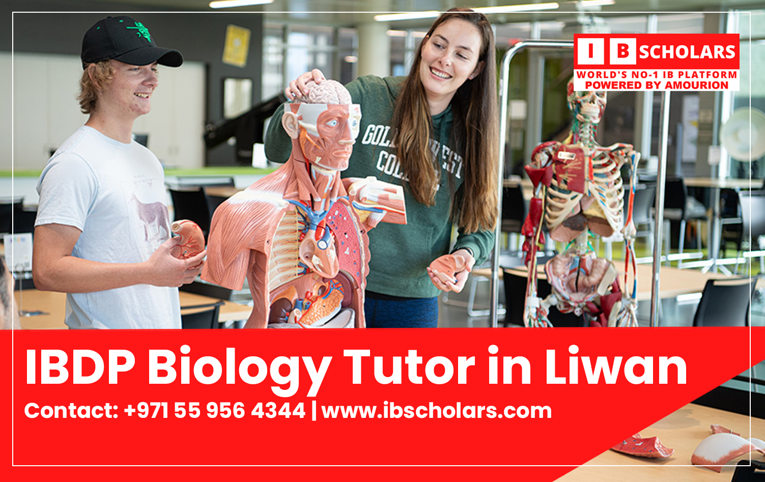 AS / A Level Business Tutor in Motor City, Dubai