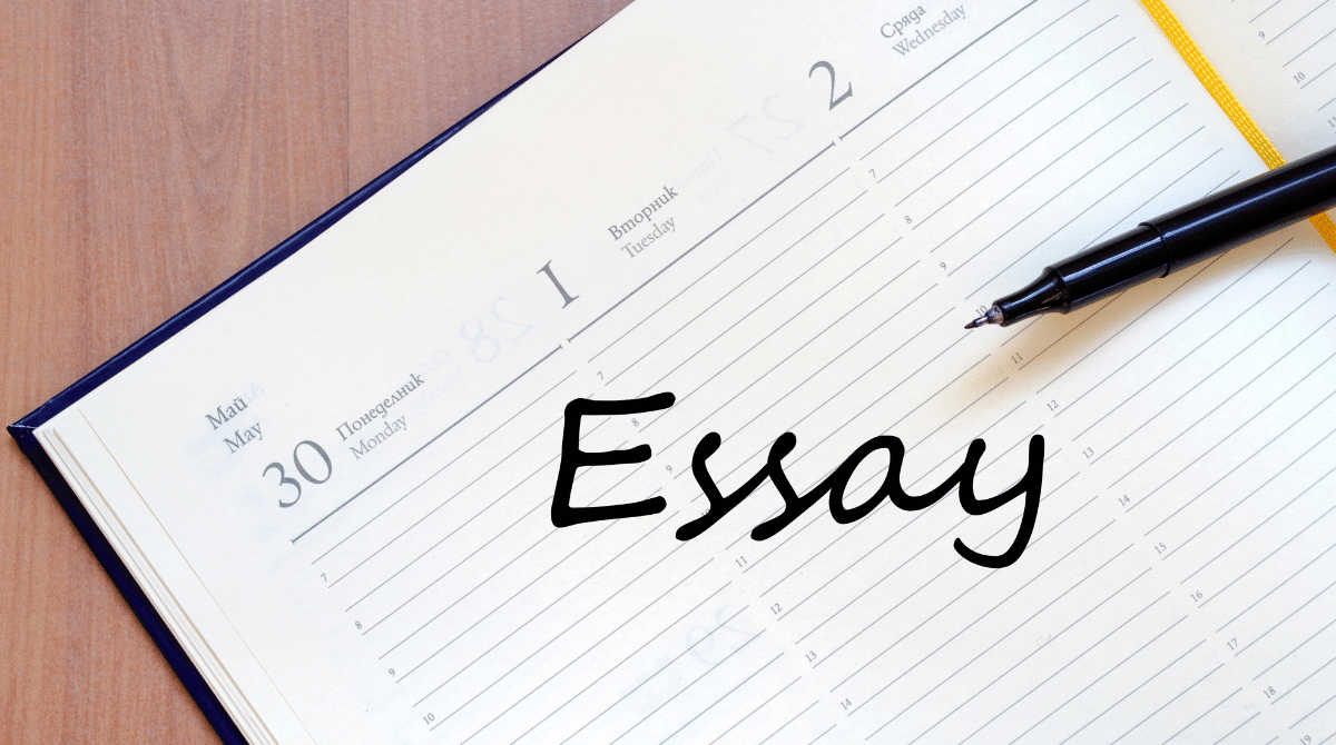 how to write college essay collegevine